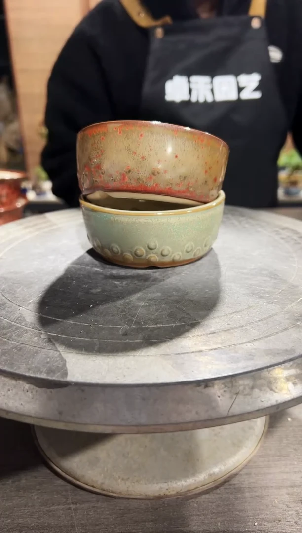 61号开播福利红绿1