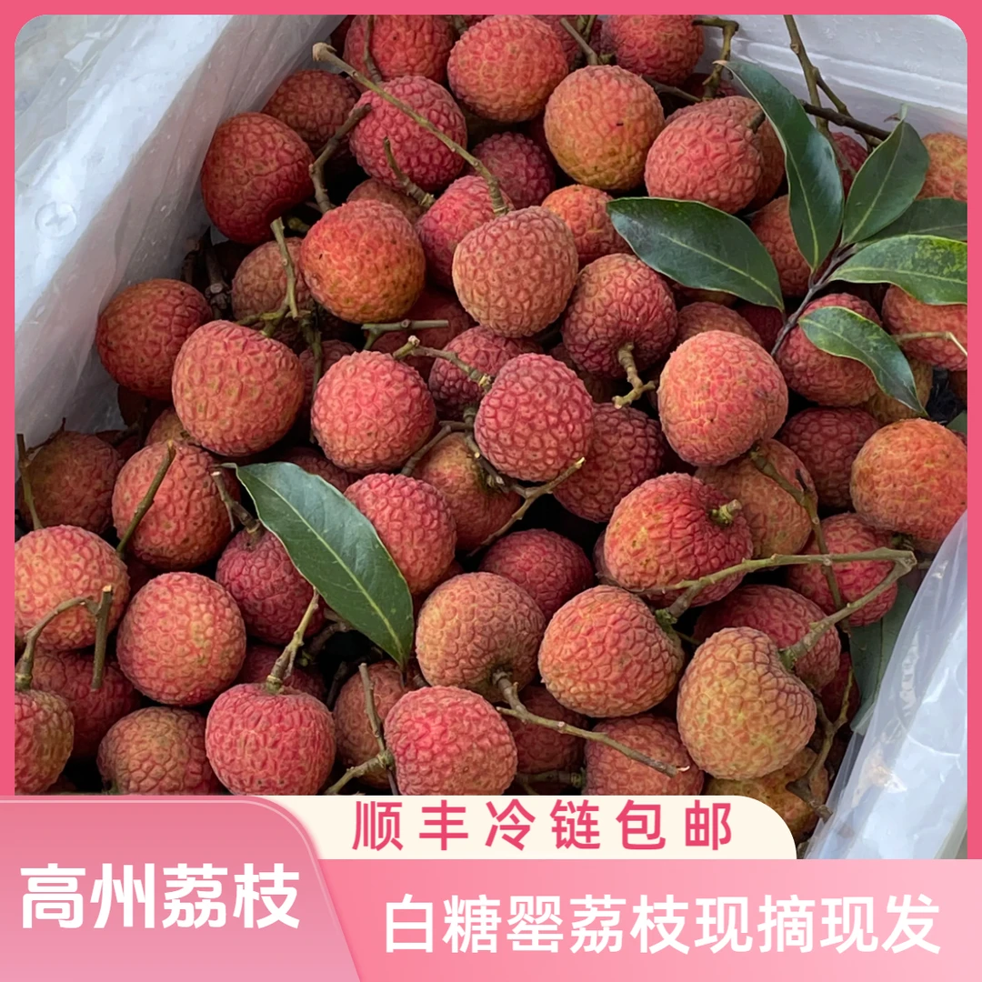 茂名高州白糖罂荔枝果园整箱新鲜现摘现发顺丰冷链2025现货