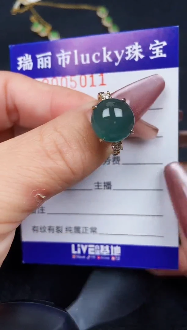 翡翠银S925镶嵌颈饰5011