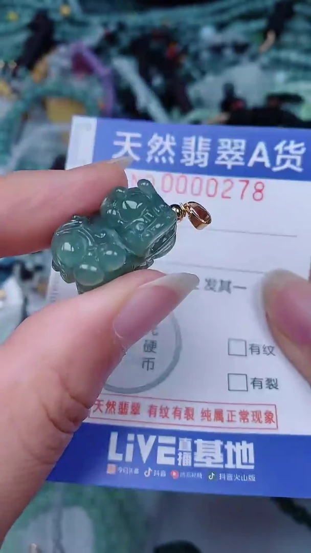 翡翠未镶嵌颈饰00000278
