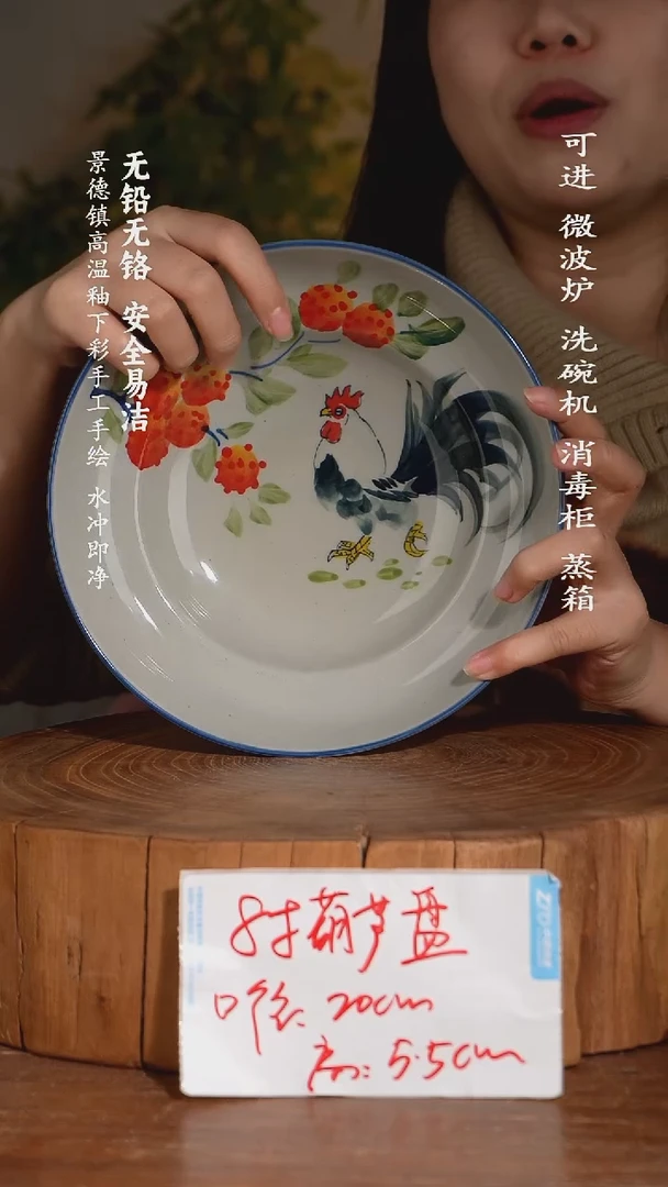 碗瓷景德镇高温瓷釉下彩手绘陶瓷