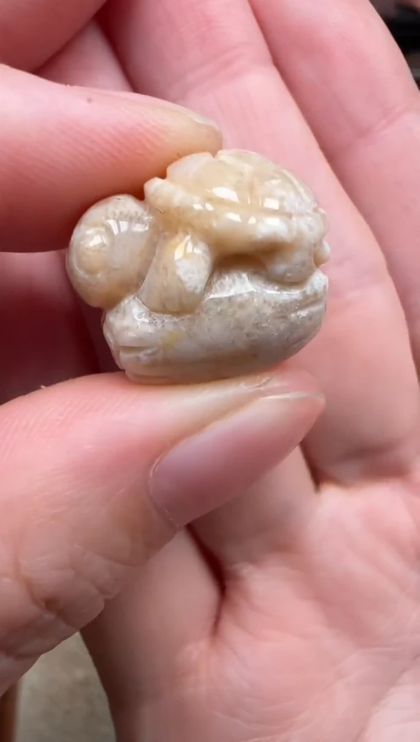 颈饰未镶嵌硅化珊瑚（珊瑚玉）737