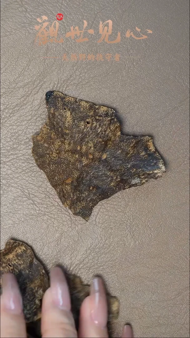 沉香沉香碎屑海南沉香壳料  2g 多样性发一