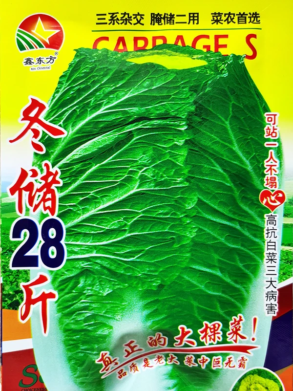 冬储28斤大白菜种子腌酸菜冬储大白菜种子蔬菜籽种冬储28大白菜种