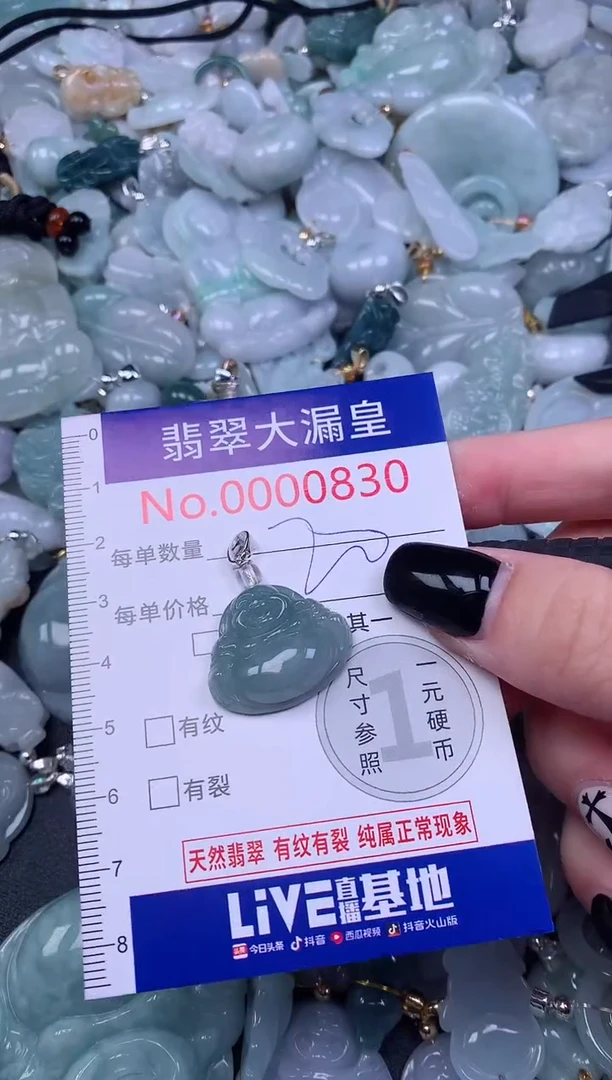 颈饰未镶嵌翡翠830