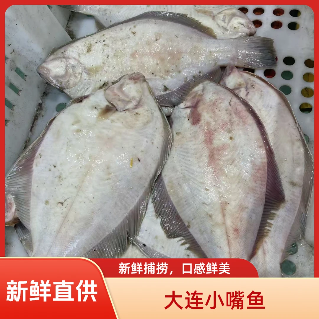 【大连新鲜小嘴鱼】净重3斤装(大小规格不齐） 顺丰速运包邮