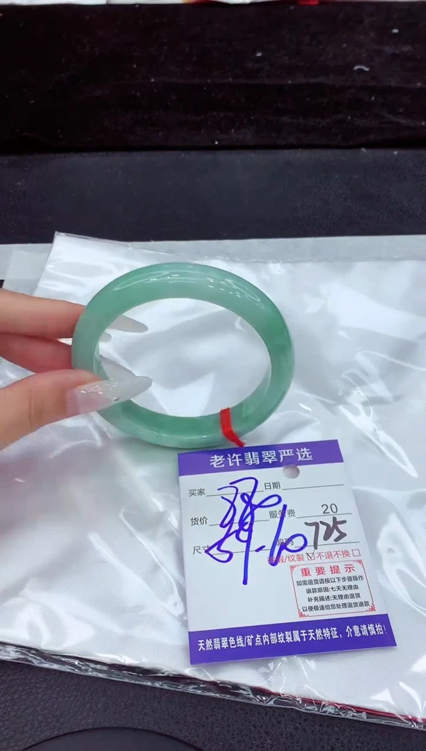 未镶嵌手镯翡翠1