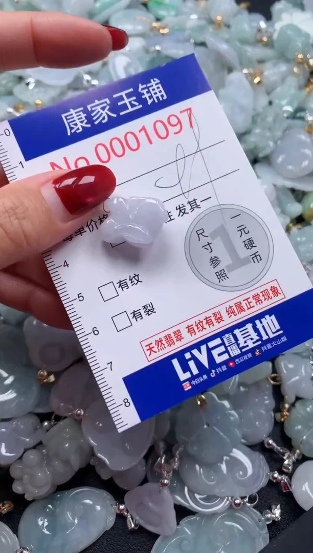颈饰未镶嵌翡翠1097