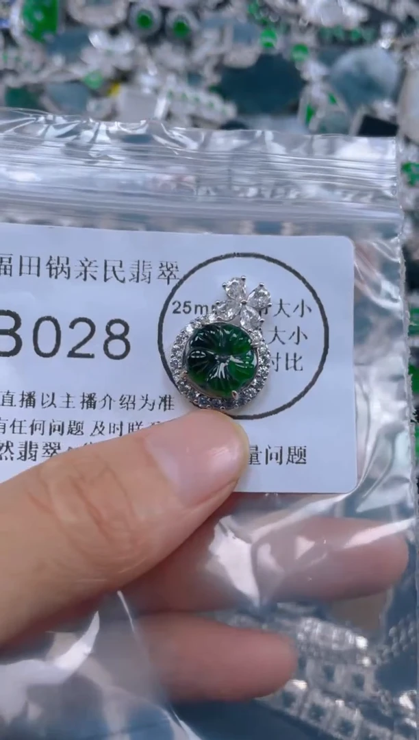 翡翠未镶嵌颈饰028