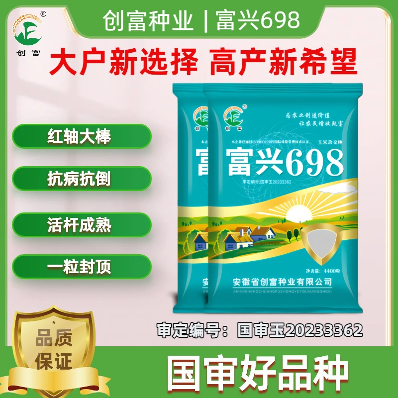 富兴698高产优质角质粮 稀植双大棒密植不空杆红轴大棒 抗倒抗病