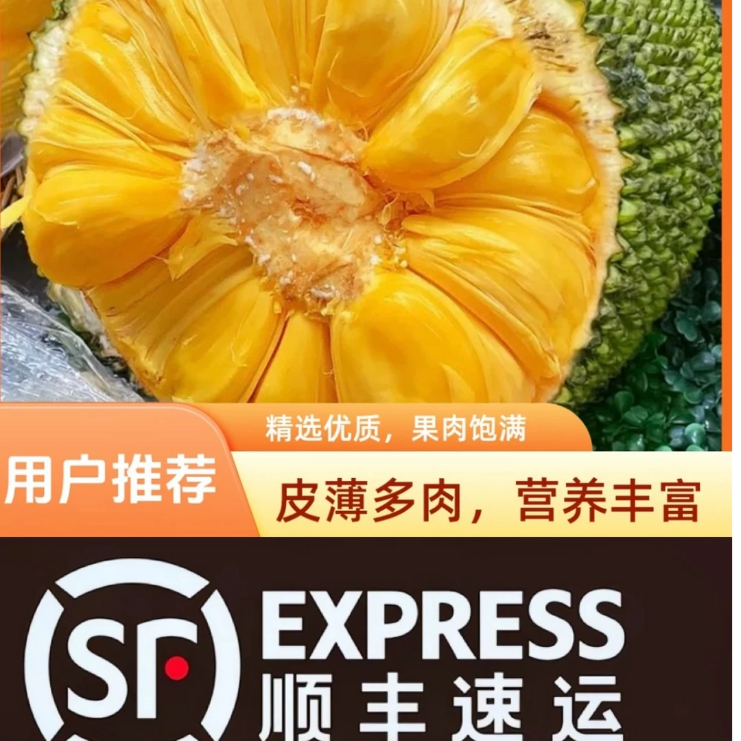 西双版纳T8菠萝蜜