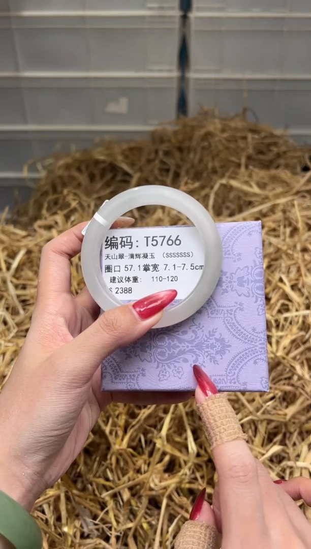 未镶嵌手镯石英质玉T5766