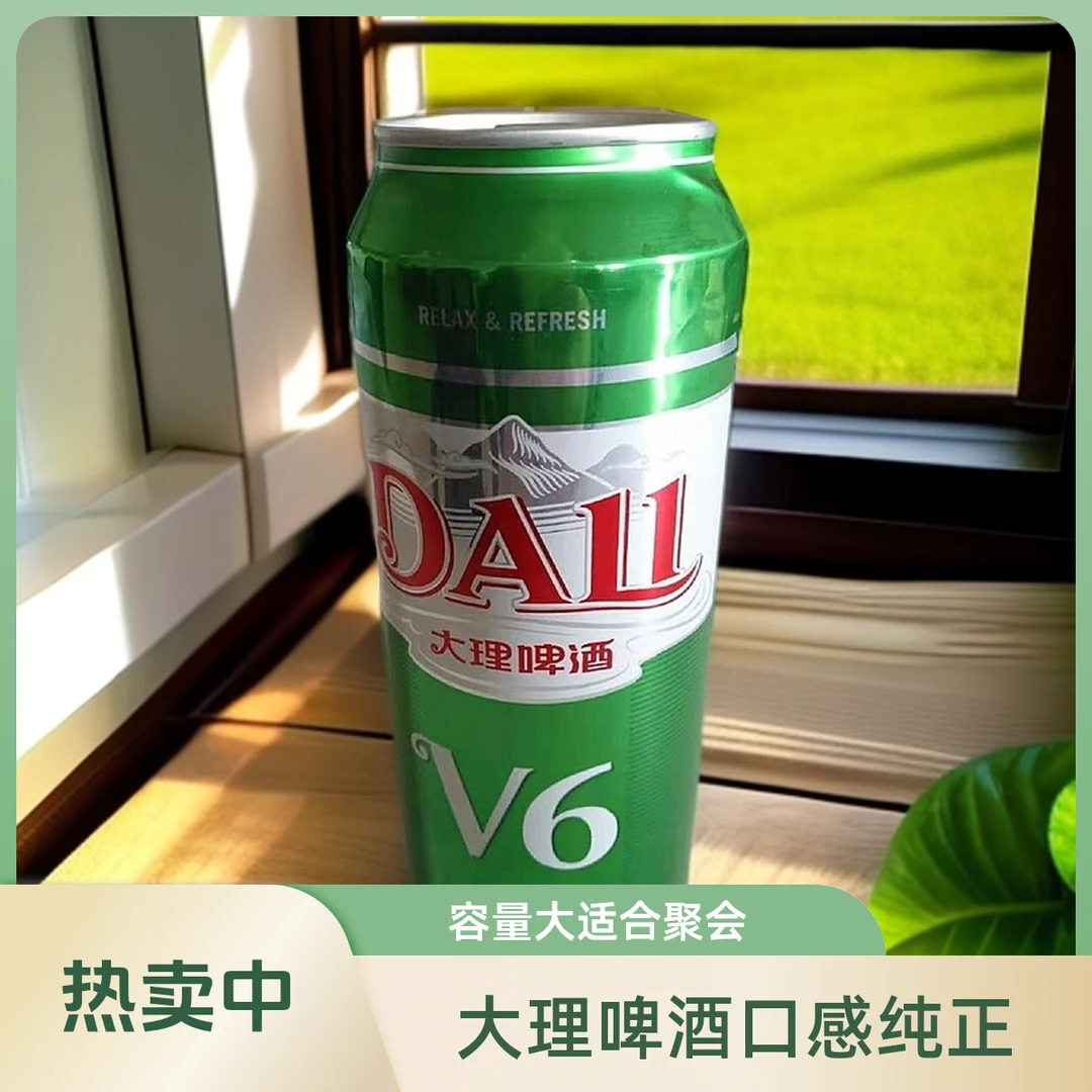 大理啤酒V6500ml