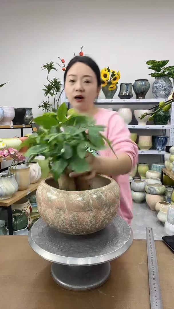 11.20陶瓷花盆直播链接高.  15    口18