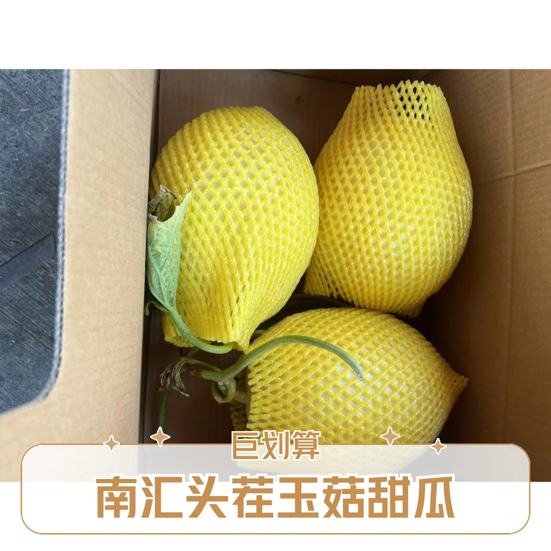 南汇头茬玉菇甜瓜带箱十斤三只大瓜新鲜上海市