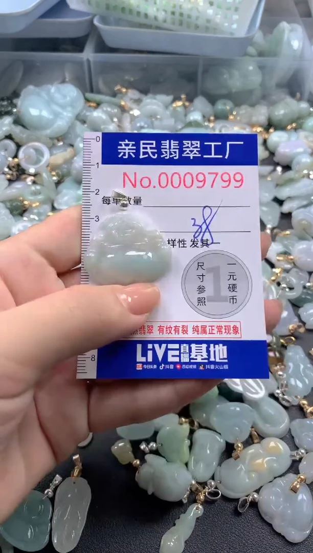 颈饰未镶嵌翡翠9799
