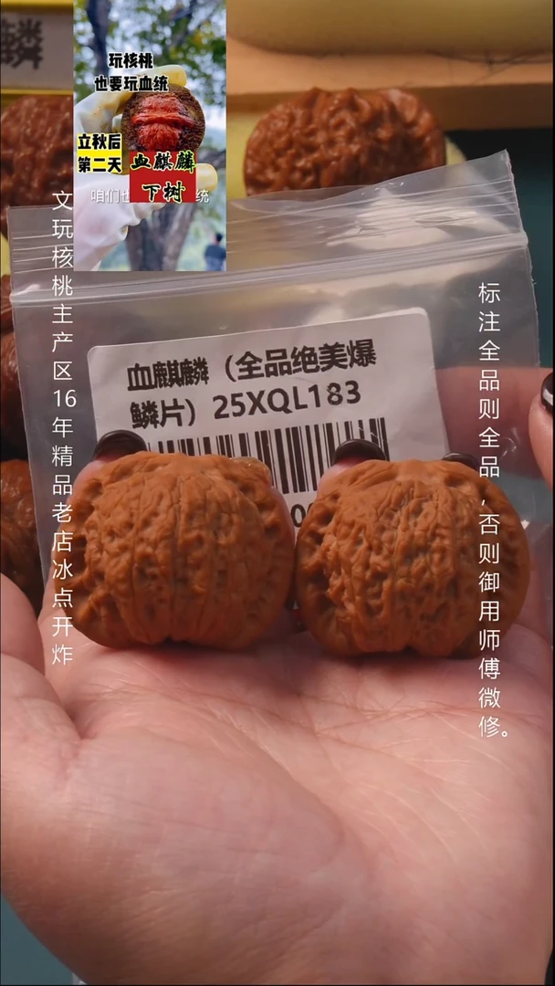 把件桃核39.5血麒麟【全品作品对绝美包鳞片】8号