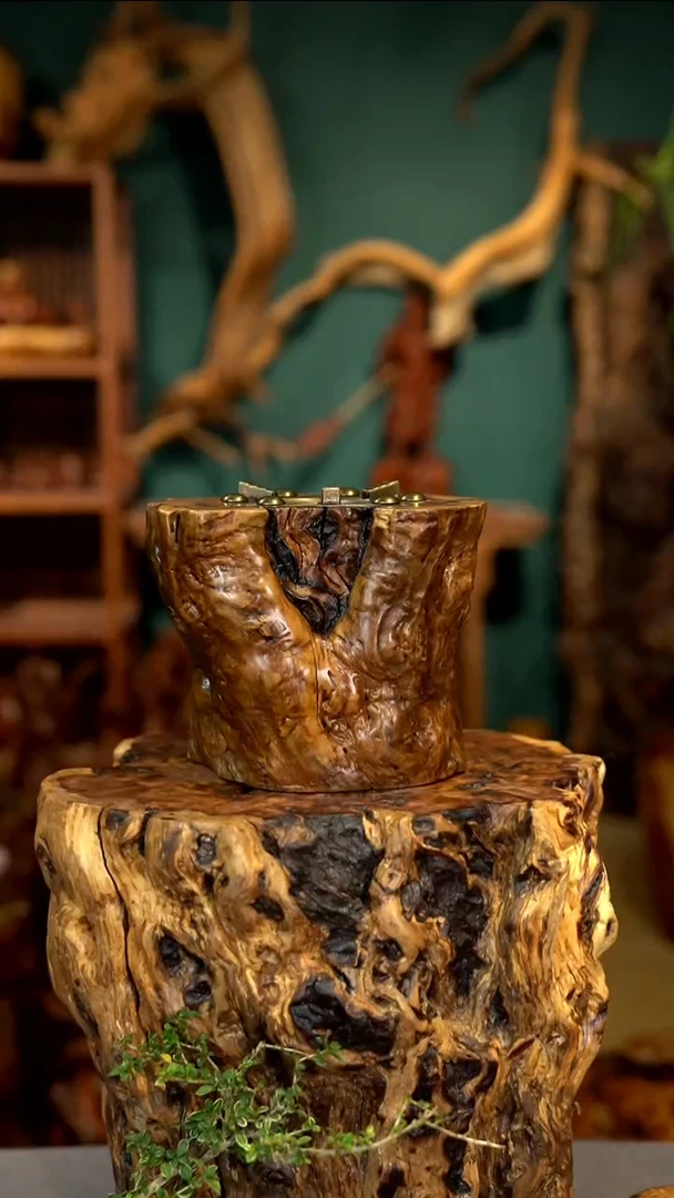 木雷击枣木酒精炉