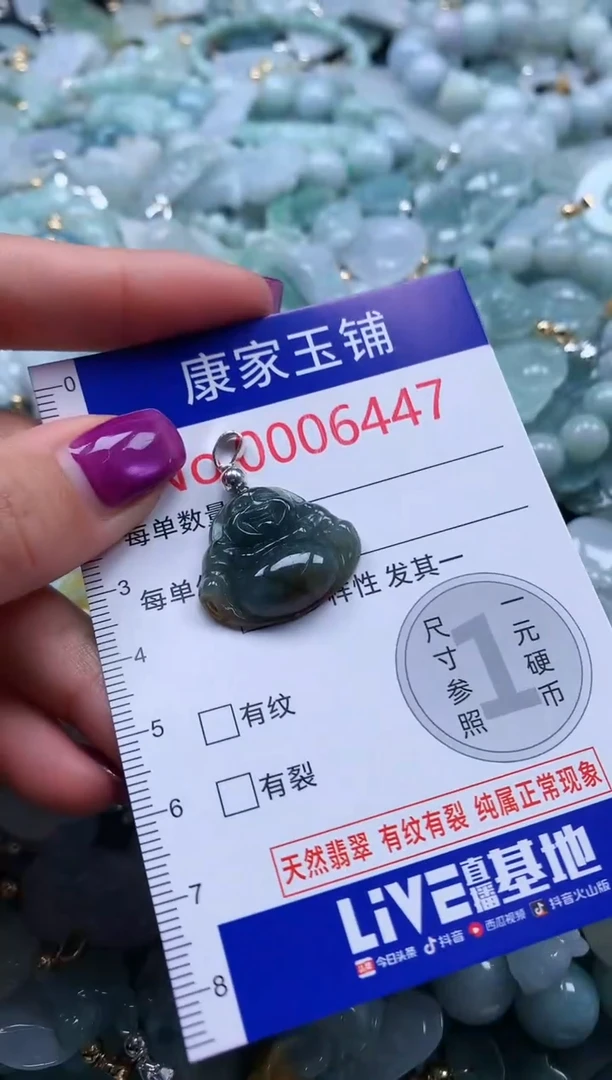颈饰未镶嵌翡翠6447