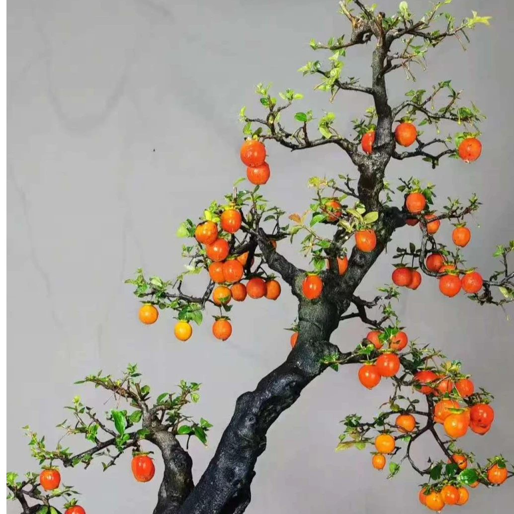 精品金弹子一物一拍