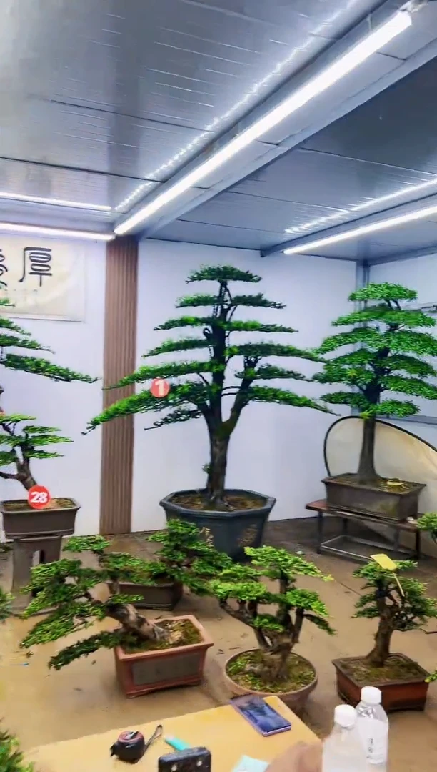 叉**卸0000000000000000000