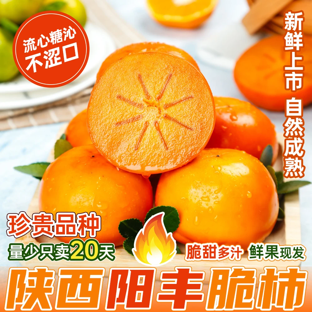 【阳丰脆柿】果园现摘现发新鲜爽口多汁礼盒包装正宗陕西阳丰脆柿