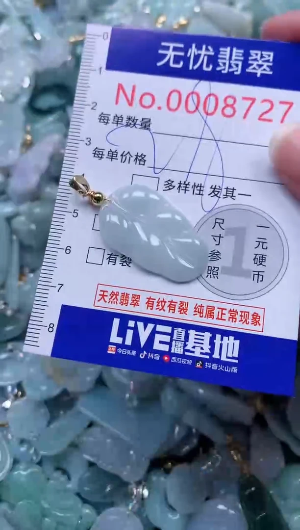 颈饰未镶嵌翡翠8727