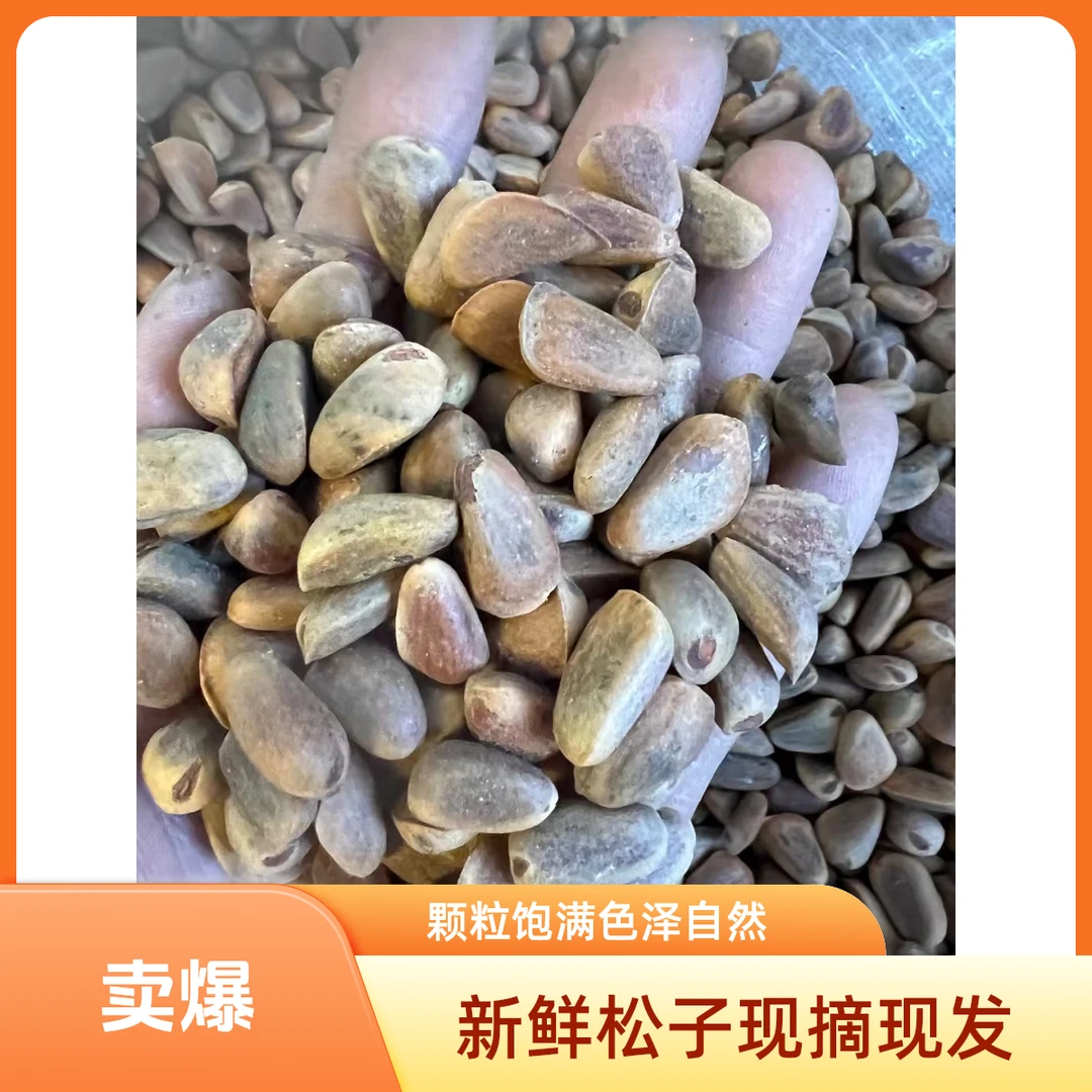 东北 生红松子（5.5斤）送夹子 山野菜黄瓜香