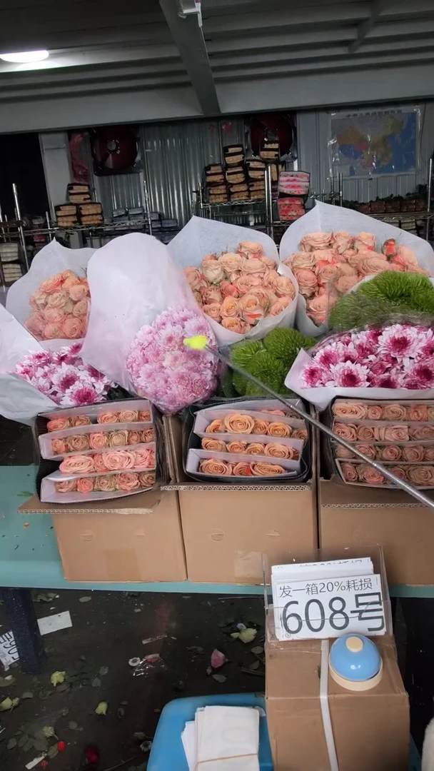 608号♥含20%耗损发一箱