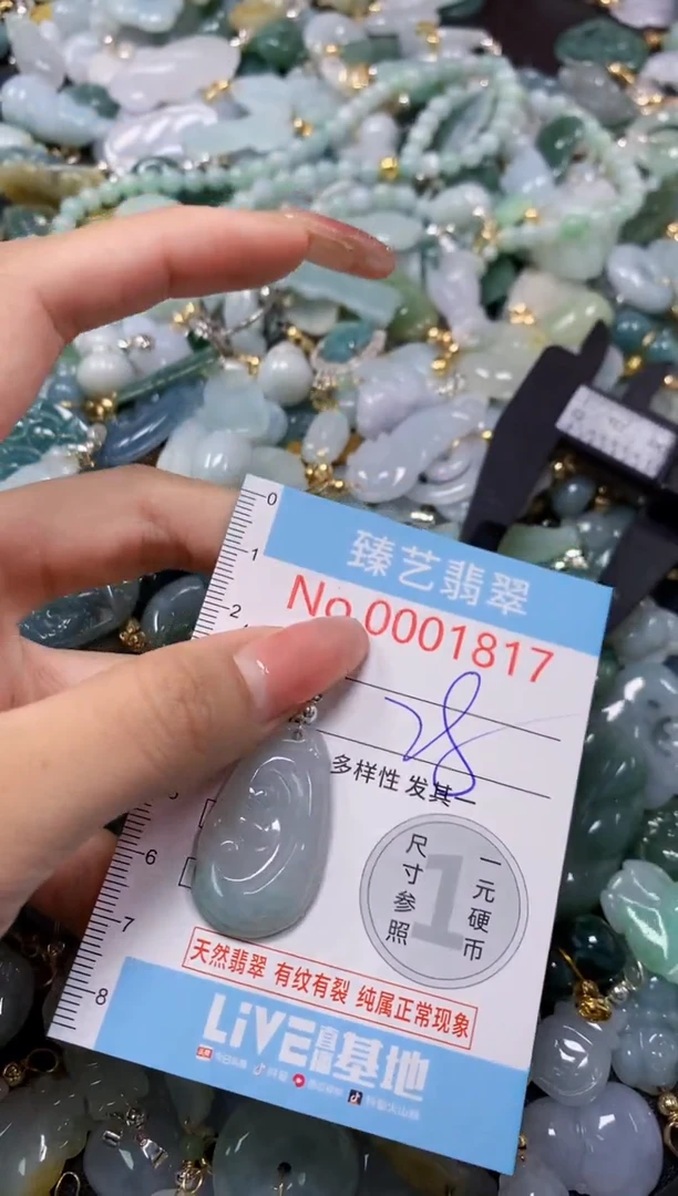 翡翠未镶嵌吊坠(不含链)1817