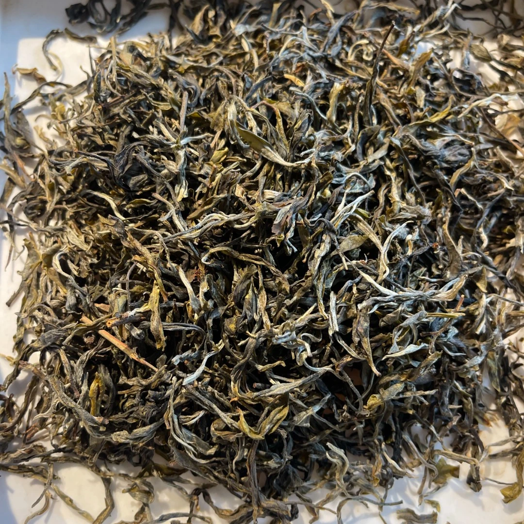 2025年倚邦熊出没古树纯料头春头采1kg散茶 定制压饼  先发茶样