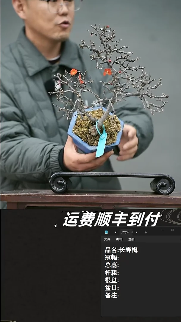 【闪购商品】7 长寿梅