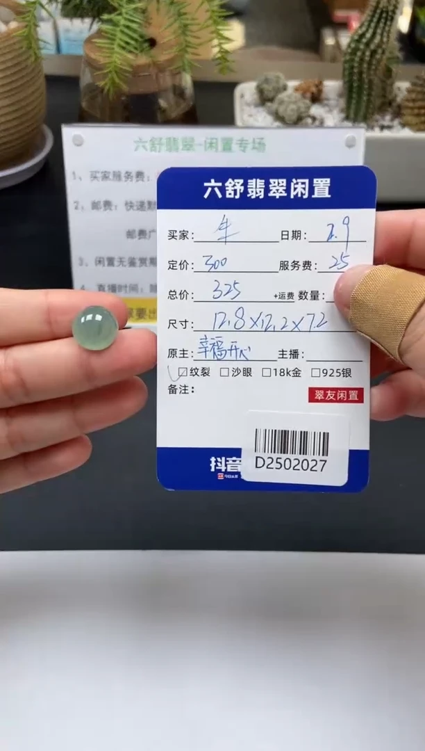 【闪购商品】翡翠颈饰未镶嵌D2502027