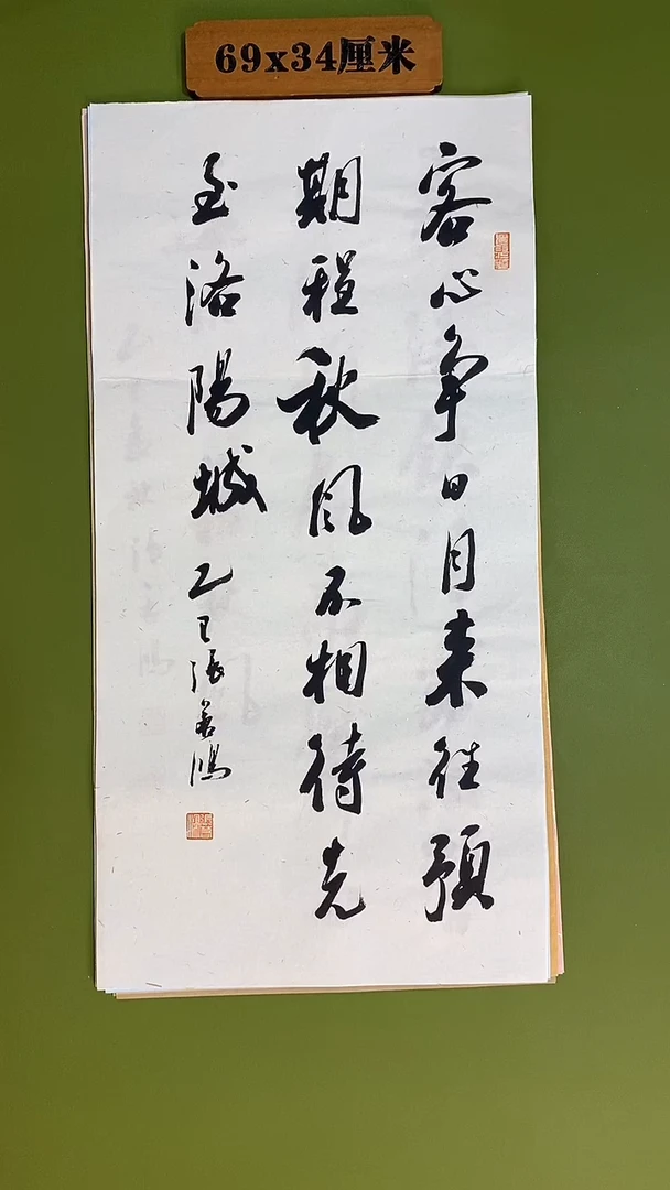 书法书法 张若鸿 尺寸69cm*34cm