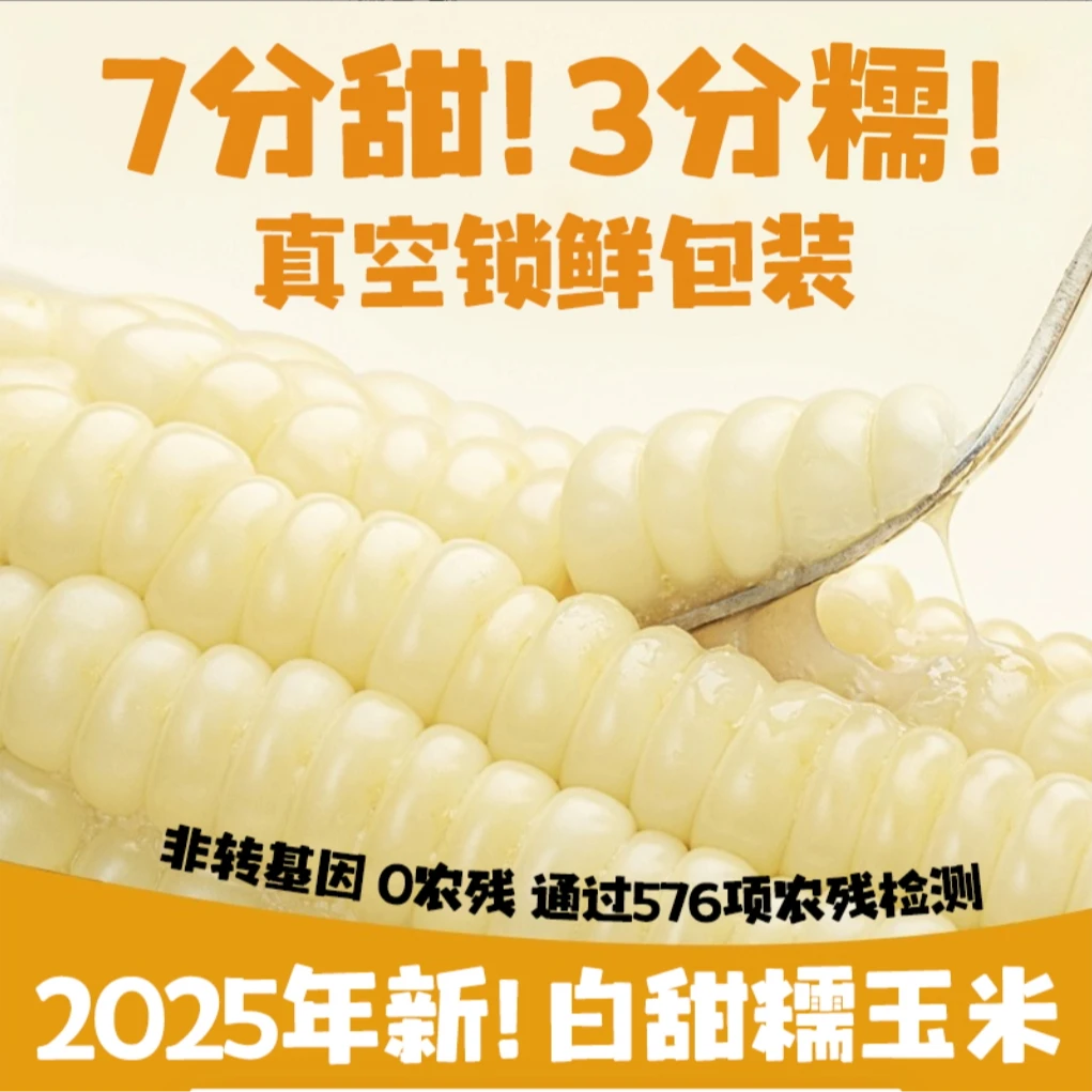 【真空锁鲜】2025年新甜+糯白玉米黑龙江鲜食玉米包装整箱10根