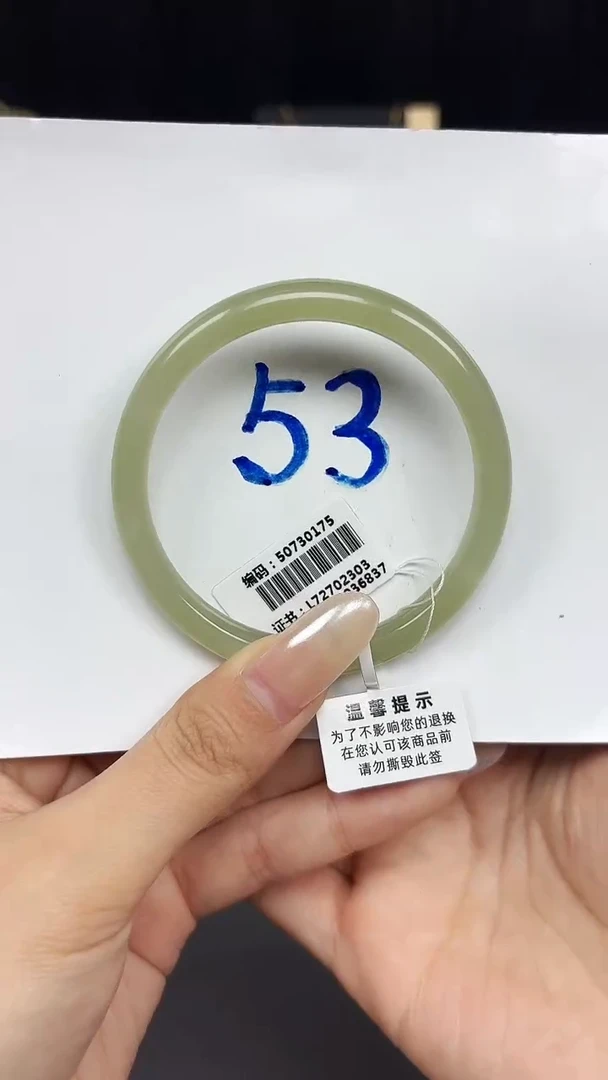 未镶嵌手镯和田玉0175