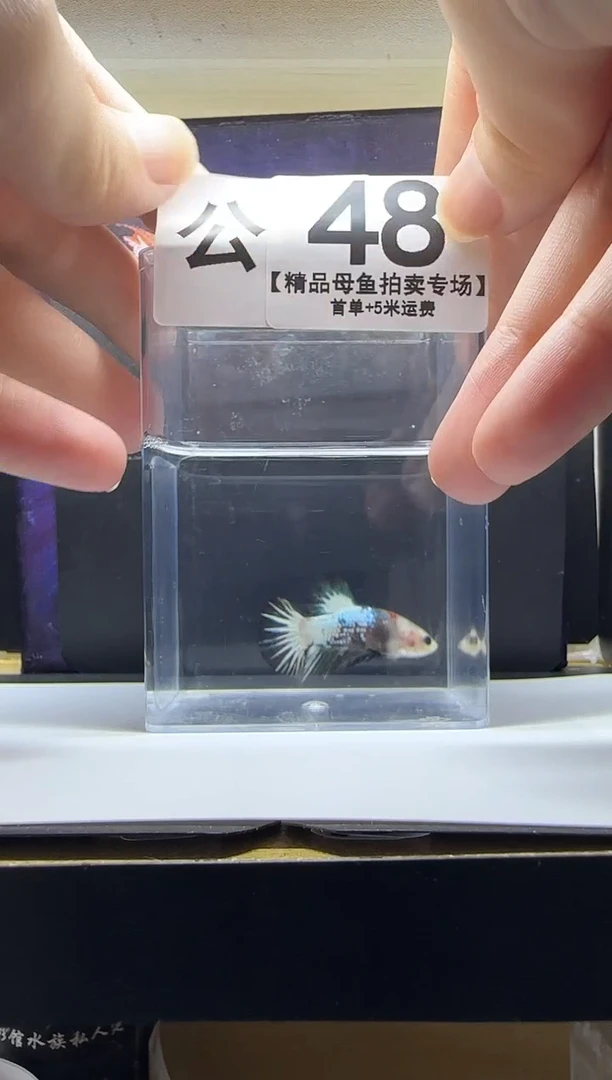 斗鱼公鱼编号：48