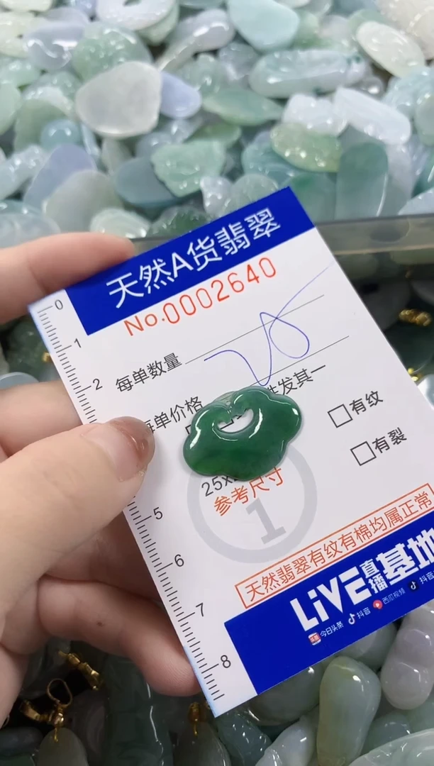 颈饰未镶嵌翡翠天然A货翡翠