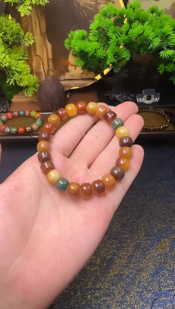 手串菩提根/象牙果菩提根炭烧焦糖多宝老型