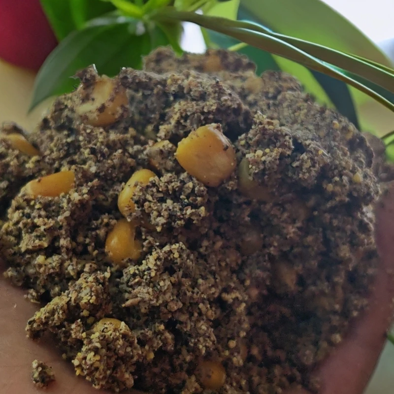 远投适用草鱼鲤鱼鲢鳙颗粒钓鱼饵料玉米可钓回锅滑口鱼