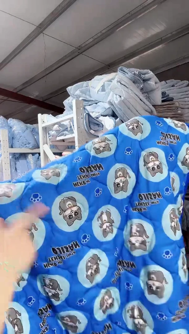 100*200垫子