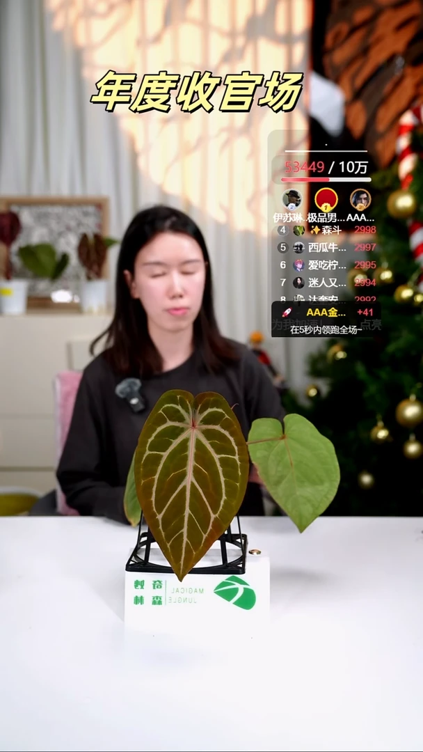 完全开放奇妙森林SKG银红x粉柠檬红