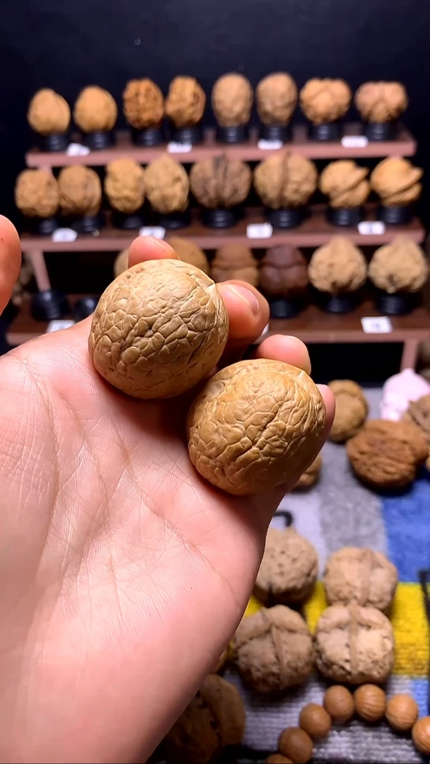 菩提籽类云铁蛇蛋34