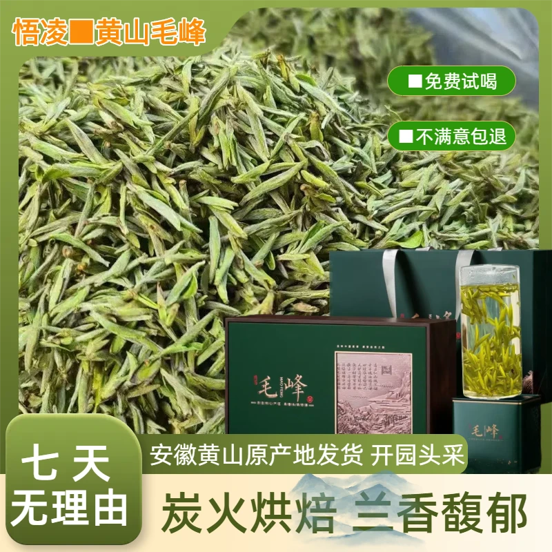 黄山毛峰特级开园头春头采精品全嫩芽高山兰花香明前绿茶/250克装