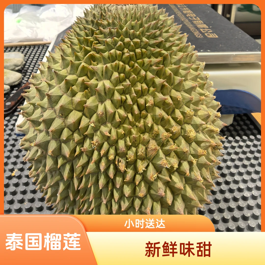 【贵阳同城小时达】泰国  树熟榴莲 托曼尼