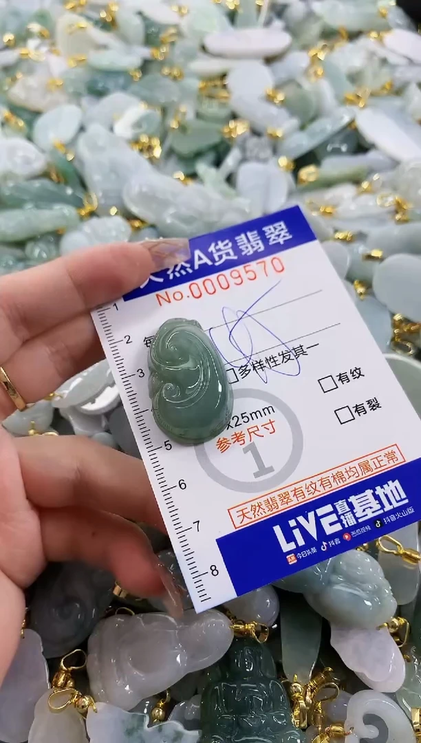 颈饰未镶嵌翡翠天然A货翡翠