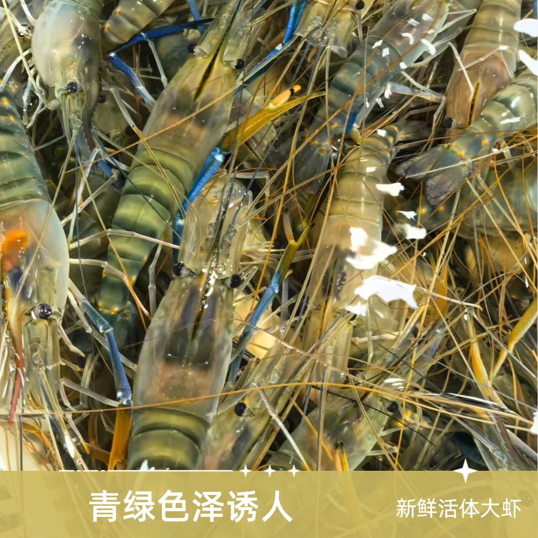 【保鲜不保活】鲜活发走 罗氏虾肉质鲜美（500g)
