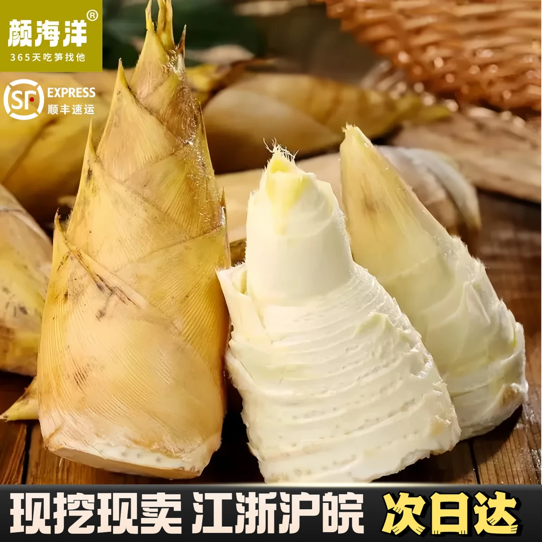 【会员日】浙江临安发货新鲜冬笋时令山货大自然馈赠竹林美味5斤/起