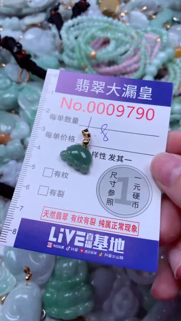 吊坠(不含链)未镶嵌翡翠9790