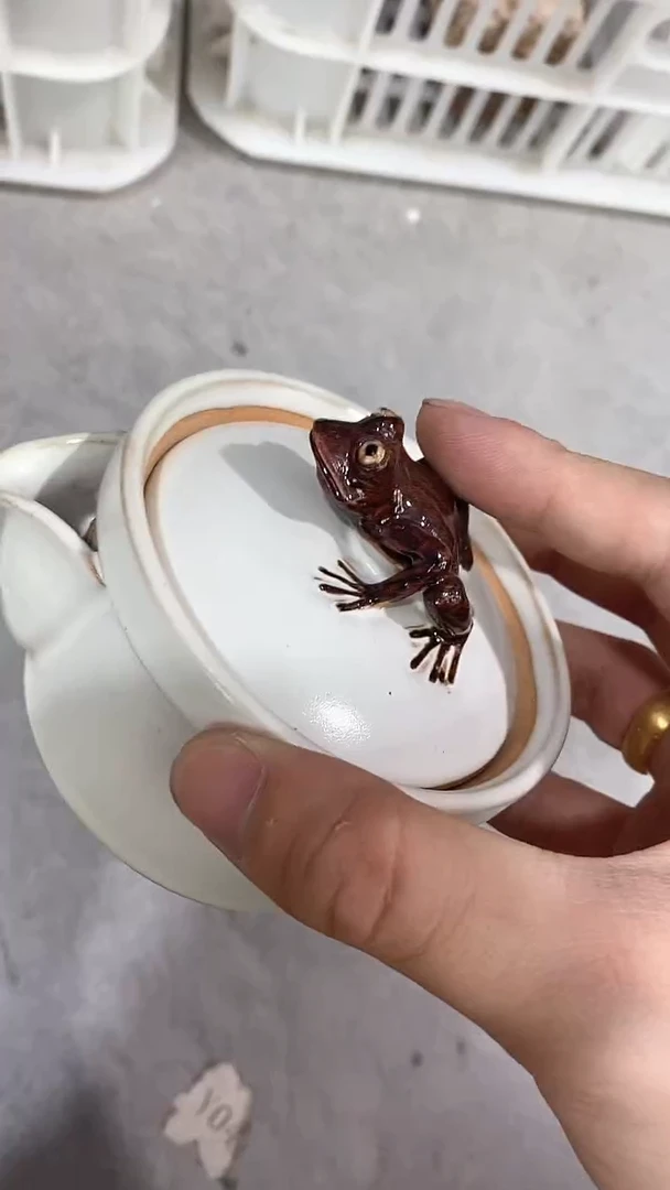 瓷片T241陶瓷茶具茶器